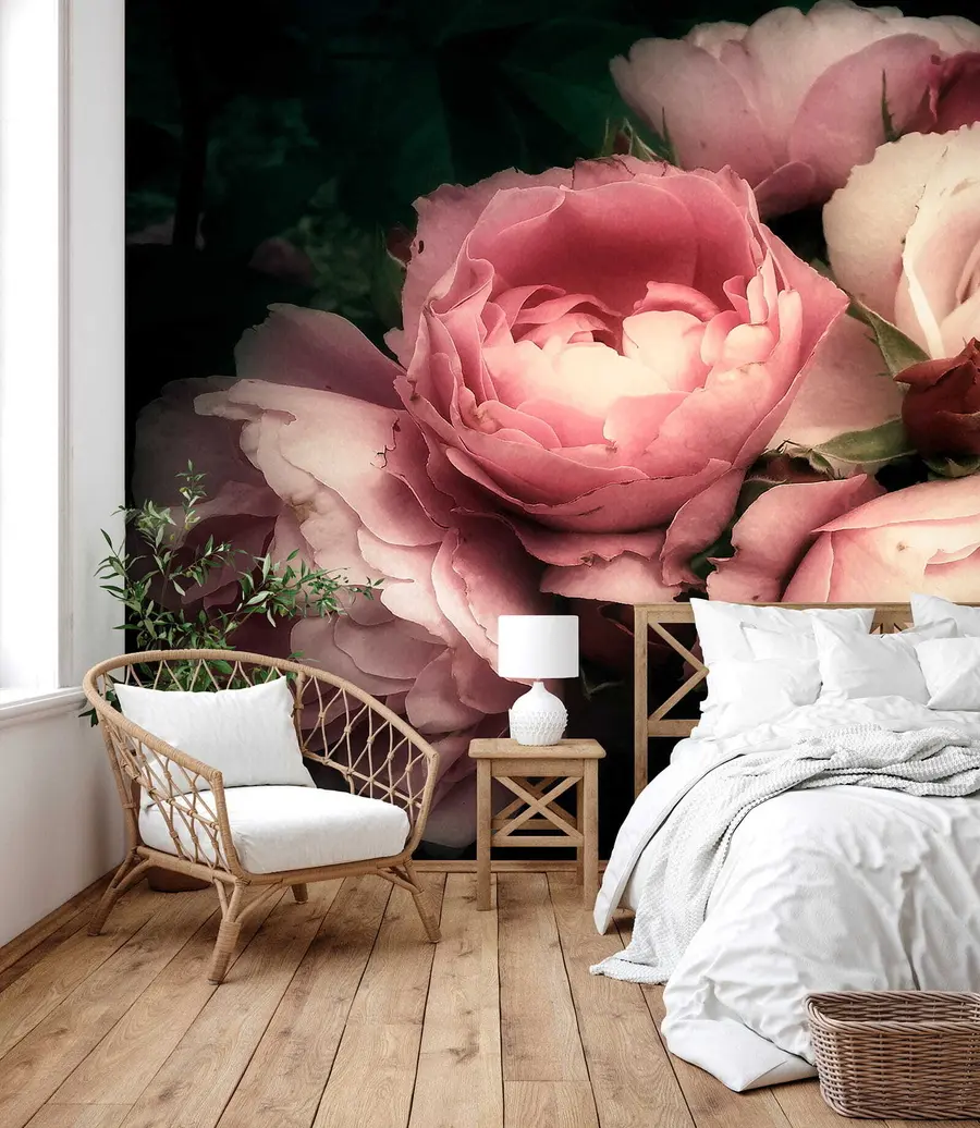 Fototapetai Švelnūs rožiniai bijūnai u08062