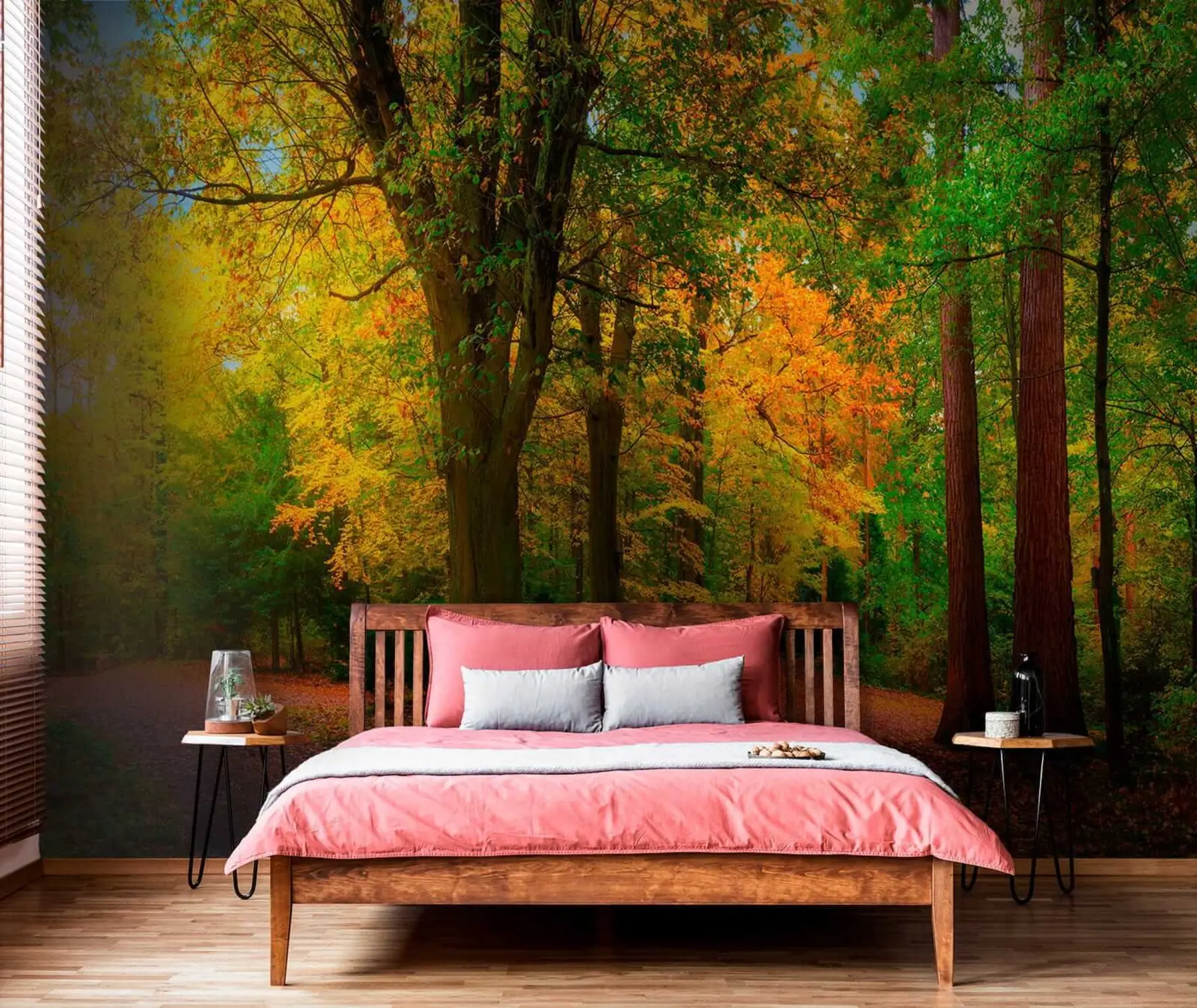 Fototapetai Rudens pradžia u08547