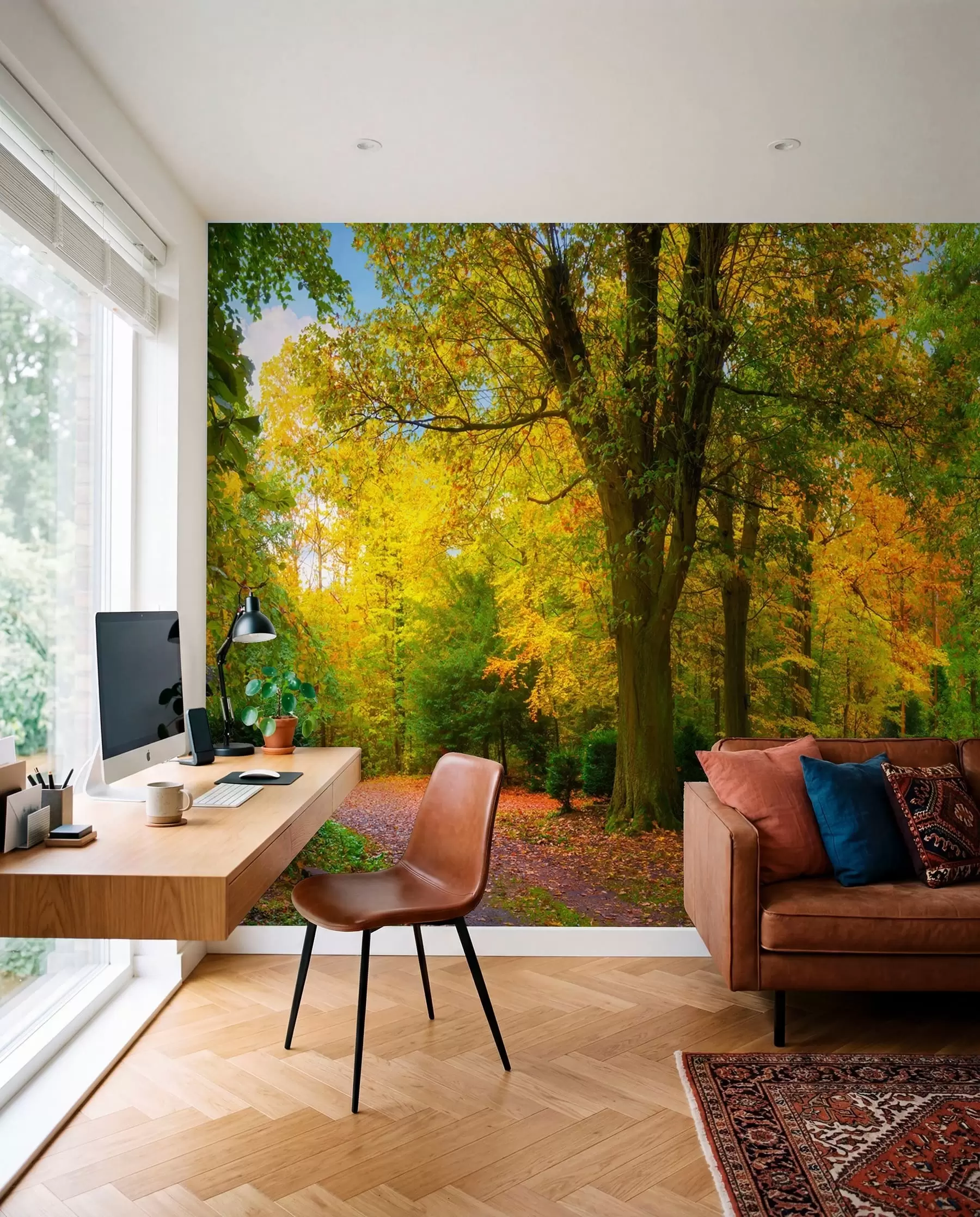 Fototapetai Rudens pradžia u08547