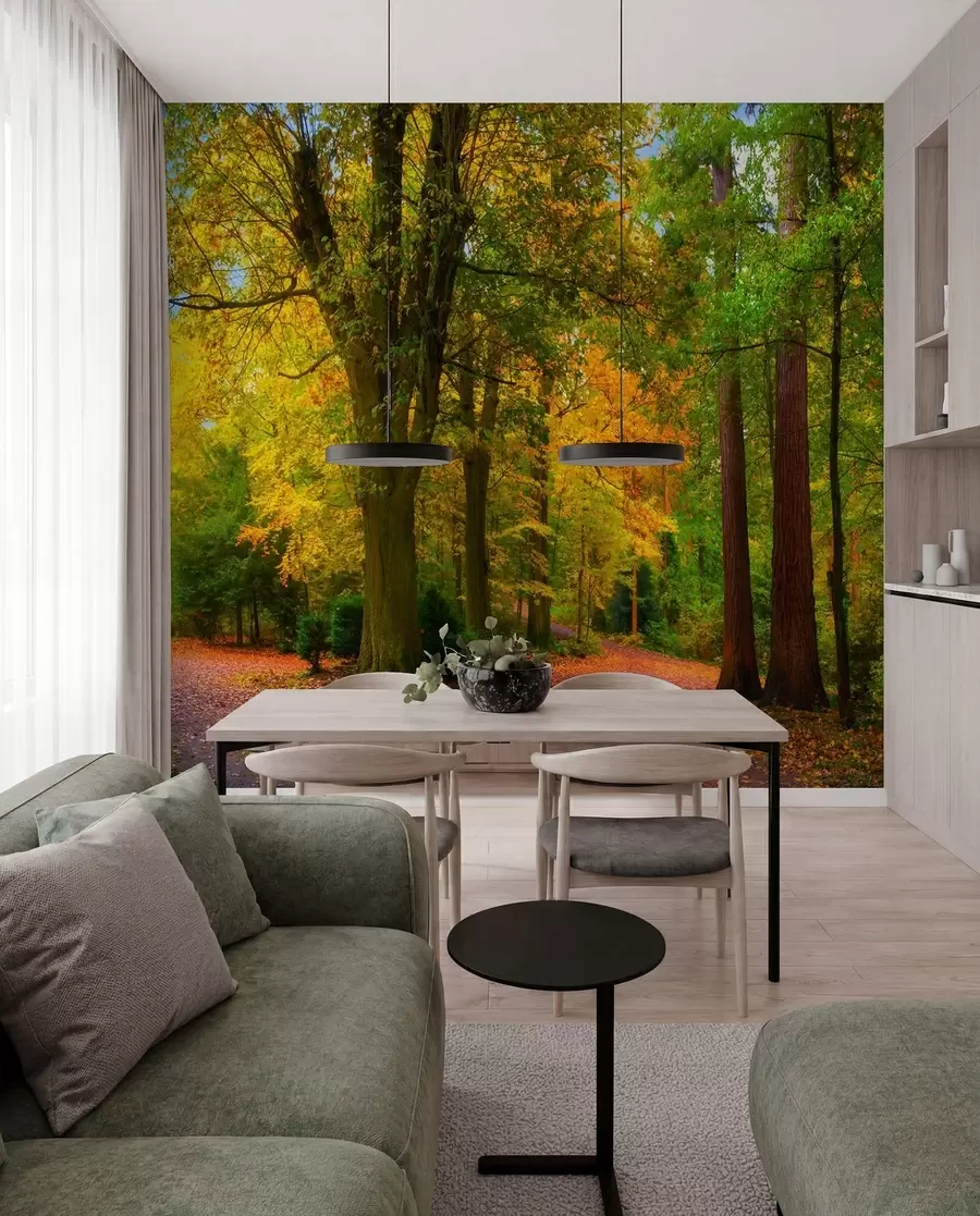 Fototapetai Rudens pradžia u08547