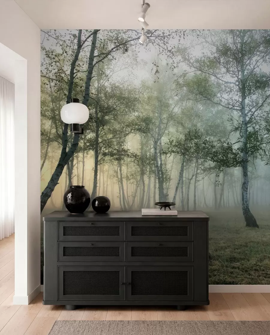 Fototapetai Miglotas beržų miškas u25820