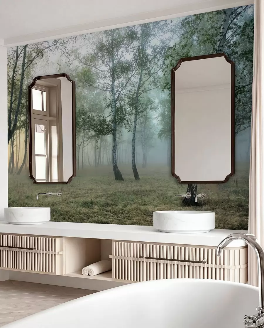 Fototapetai Miglotas beržų miškas u25820