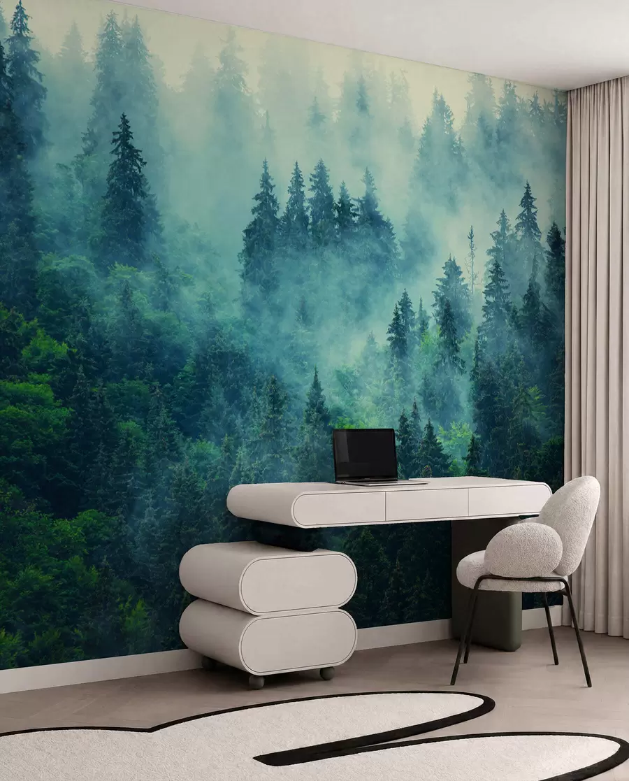 Fototapetai Miglotas miškas ryte u33150