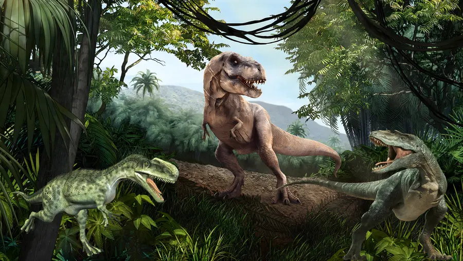 Fototapetai Dinozaurai u36756