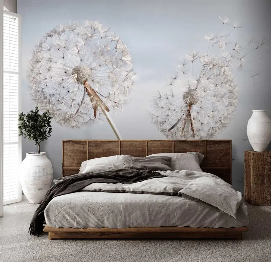 Fototapetai Didelės pienės u44628