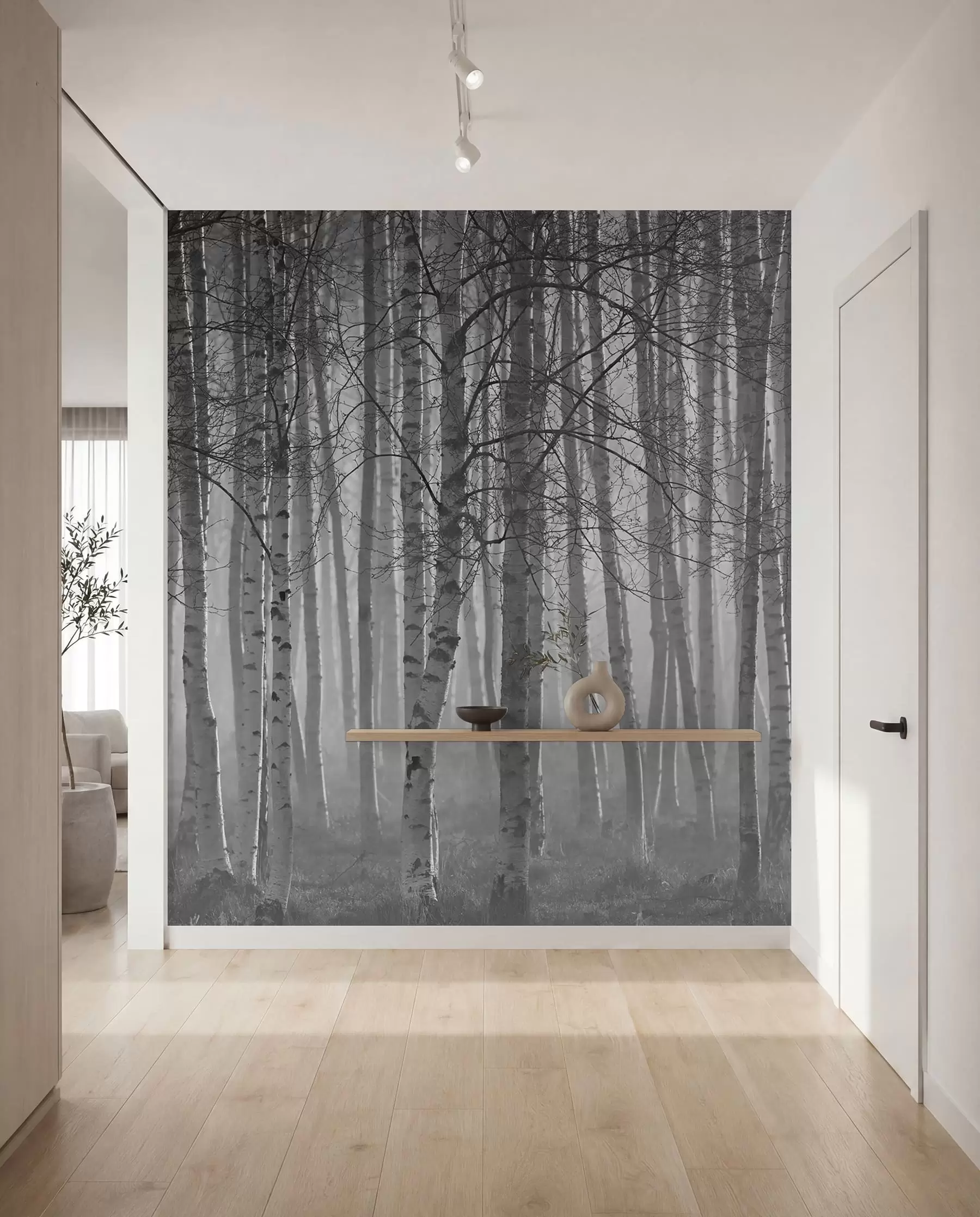 Fototapetai Rytinis rūkas beržų miške u58971