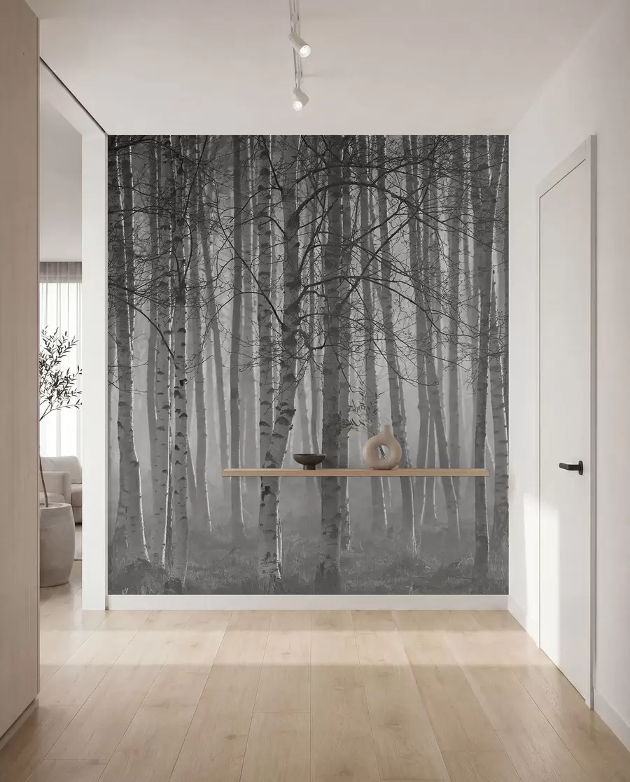 Fototapetai Rytinis rūkas beržų miške u58971