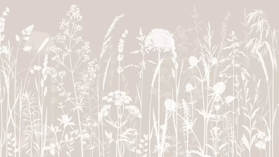 Fototapetai Švelnus lauko augalų ir gėlių minimalizmas w01270