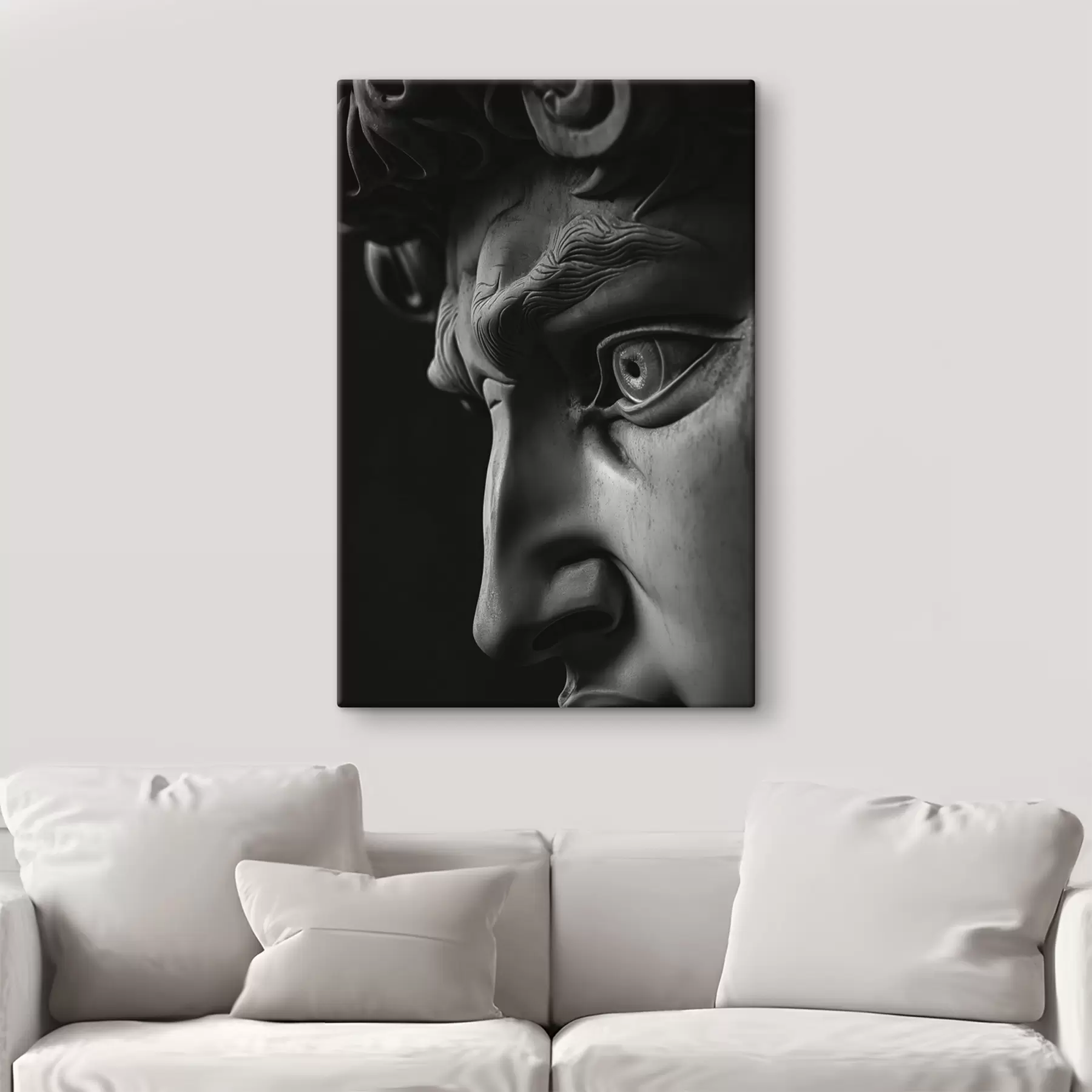 Fototapetai Dovydo portretas iš arti profilyje s26124