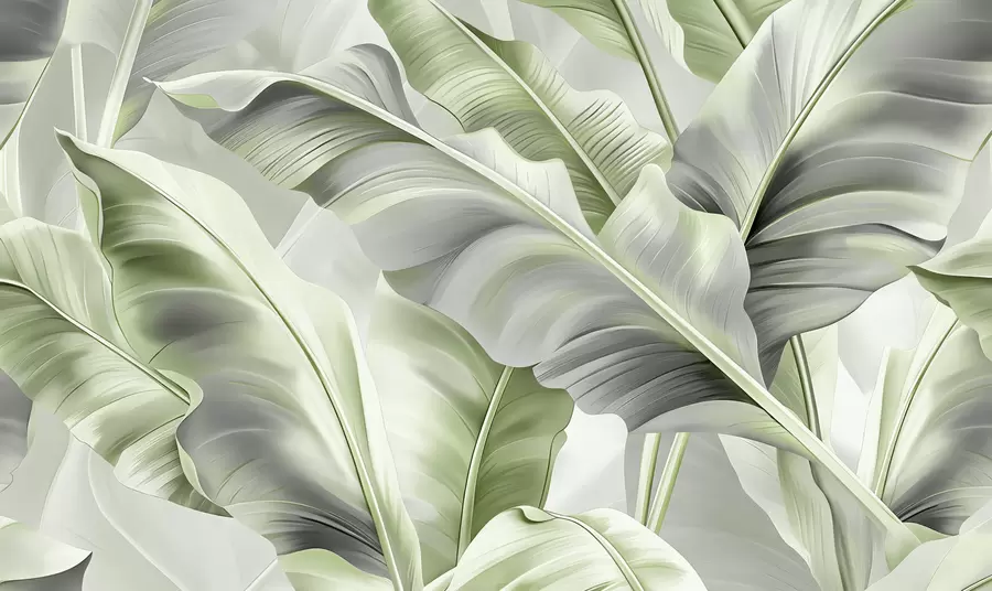 Fototapetai prabangūs dideli bananų lapai pilkai žaliais tonais w07876v3