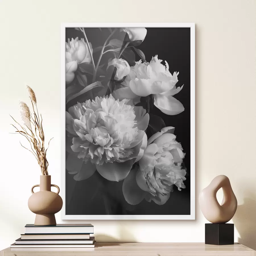 Paveikslėlis Juodai balti bijūnai f39547