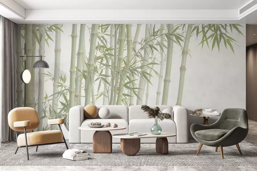 Fototapetai Tankus bambukų miškas su aukštais bambuko stiebais ir žaliais lapais minkštame, miglotame fone w08237