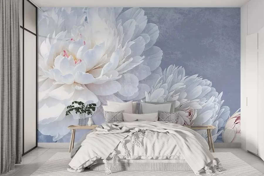 Fototapetai Baltos spalvos detaliai išdėlioti bijūnų žiedai su švelniais, subtiliais žiedlapiais šviesiai pastelinės mėlynos spalvos tekstūros fone w08379