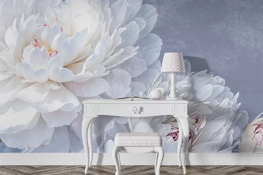 Fototapetai Baltos spalvos detaliai išdėlioti bijūnų žiedai su švelniais, subtiliais žiedlapiais šviesiai pastelinės mėlynos spalvos tekstūros fone w08379