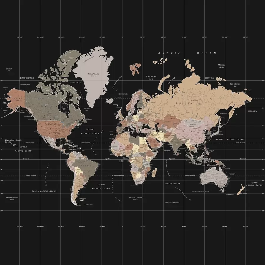 Fototapetai Pasaulio žemėlapis su nubrėžtomis įvairiomis šalimis u99477d1