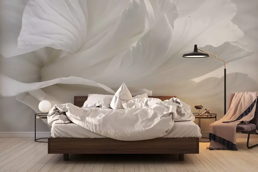 Fototapetai Abstraktus minimalistinis švelnios baltos gėlės su minkštais, aksominiais žiedlapiais atspaudas w08424