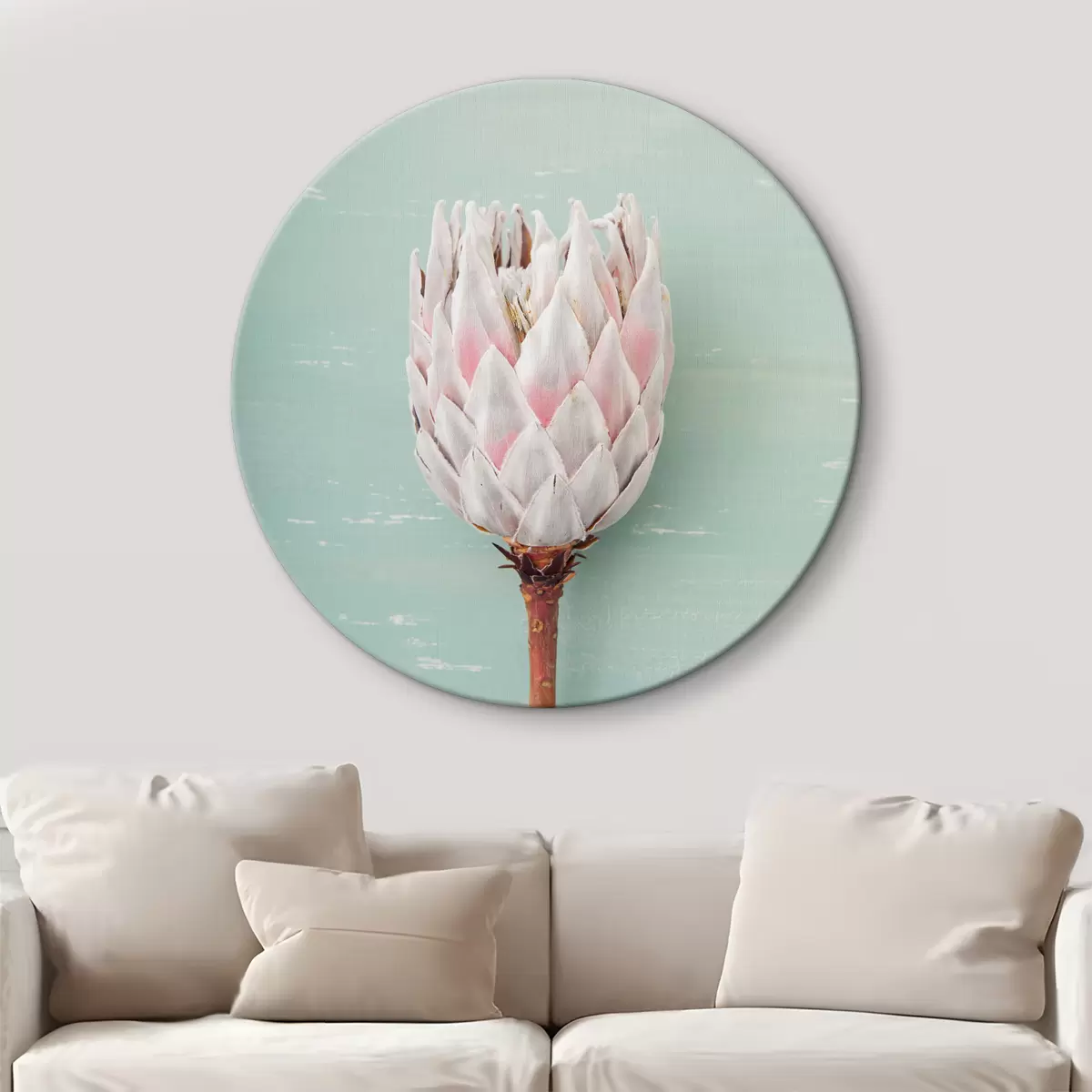 Apvalūs paveikslai Baltoji protea r36695