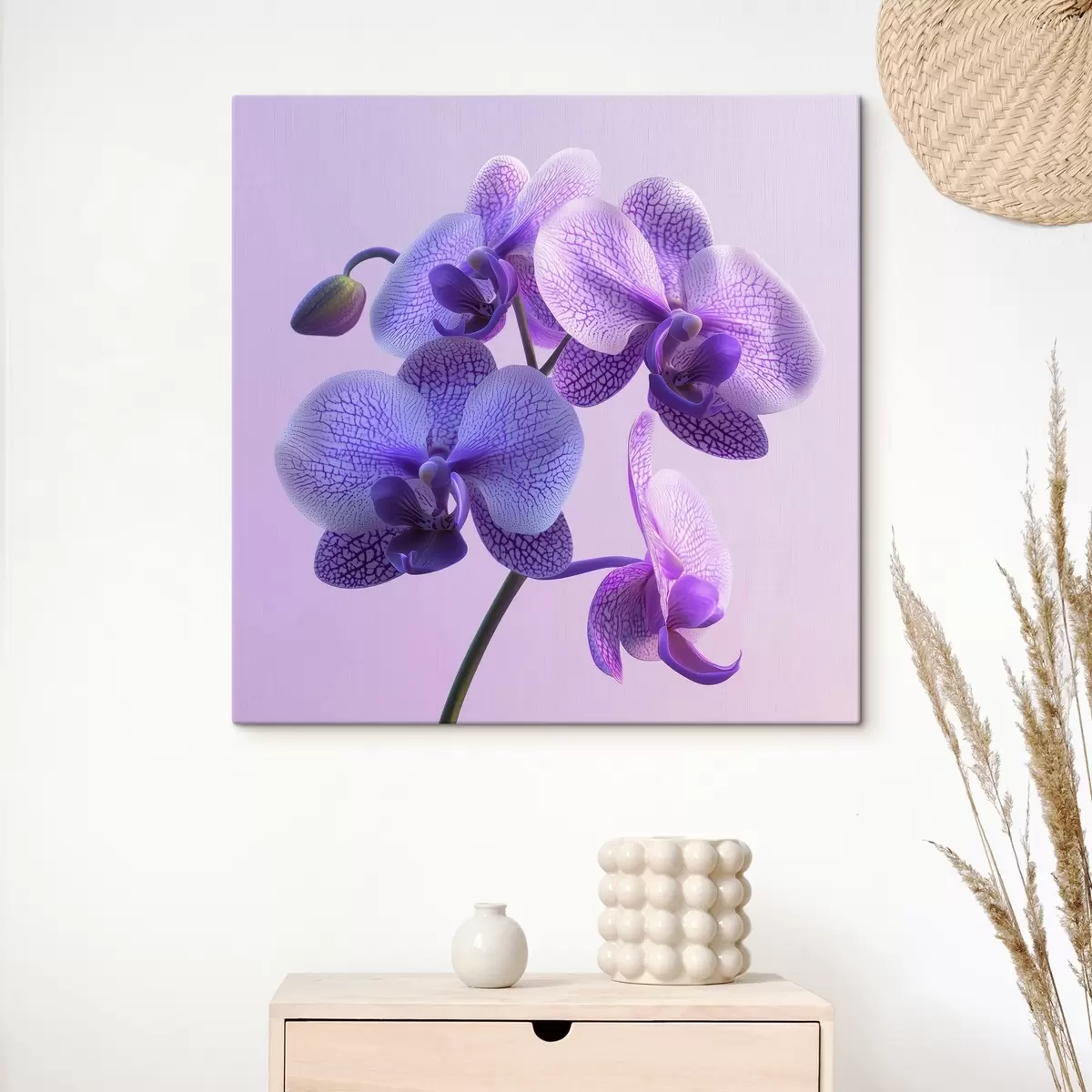 Paveikslėlis Violetinė orchidėja s41978