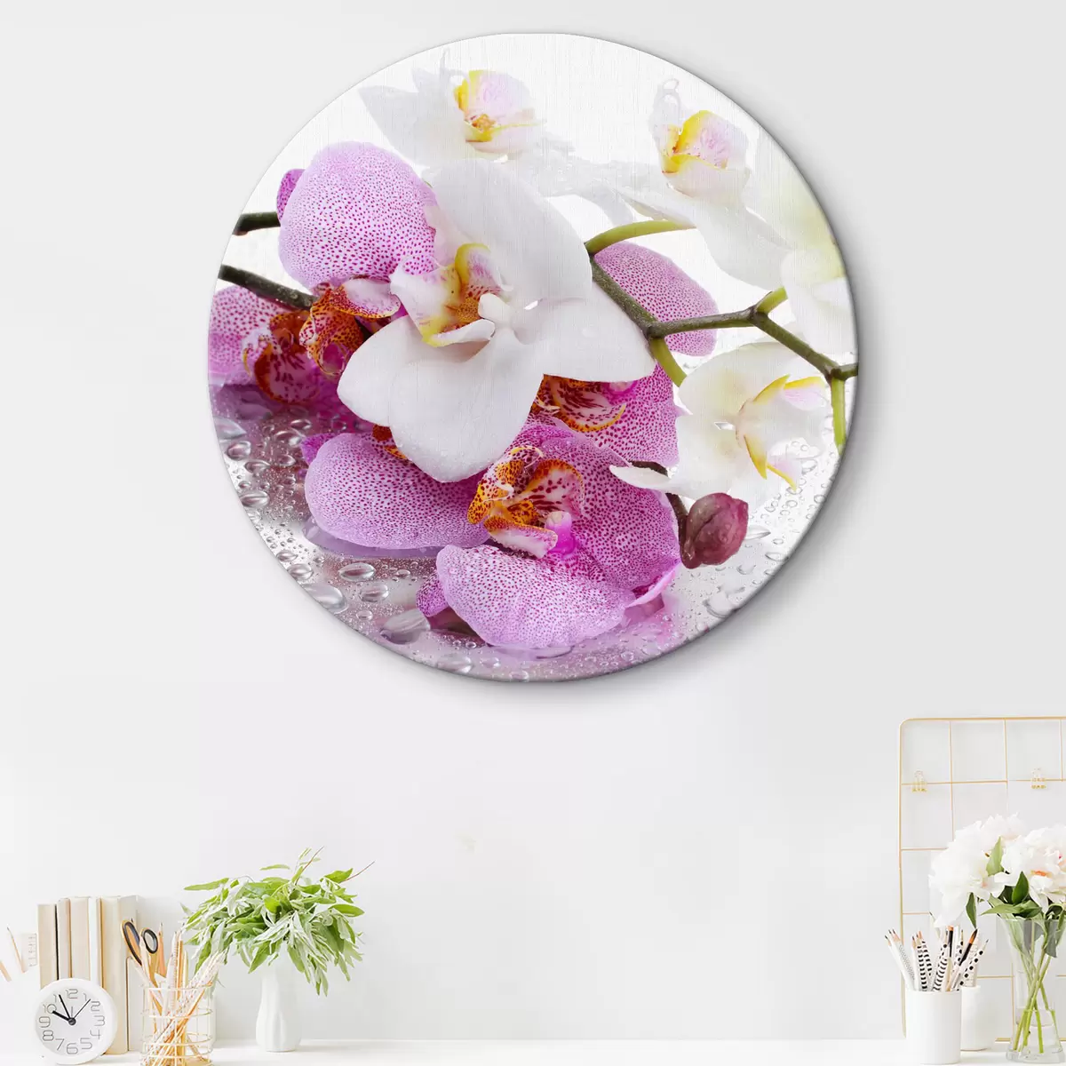 Apvalūs paveikslai Gėlė, augalas ir žiedlapis r15063