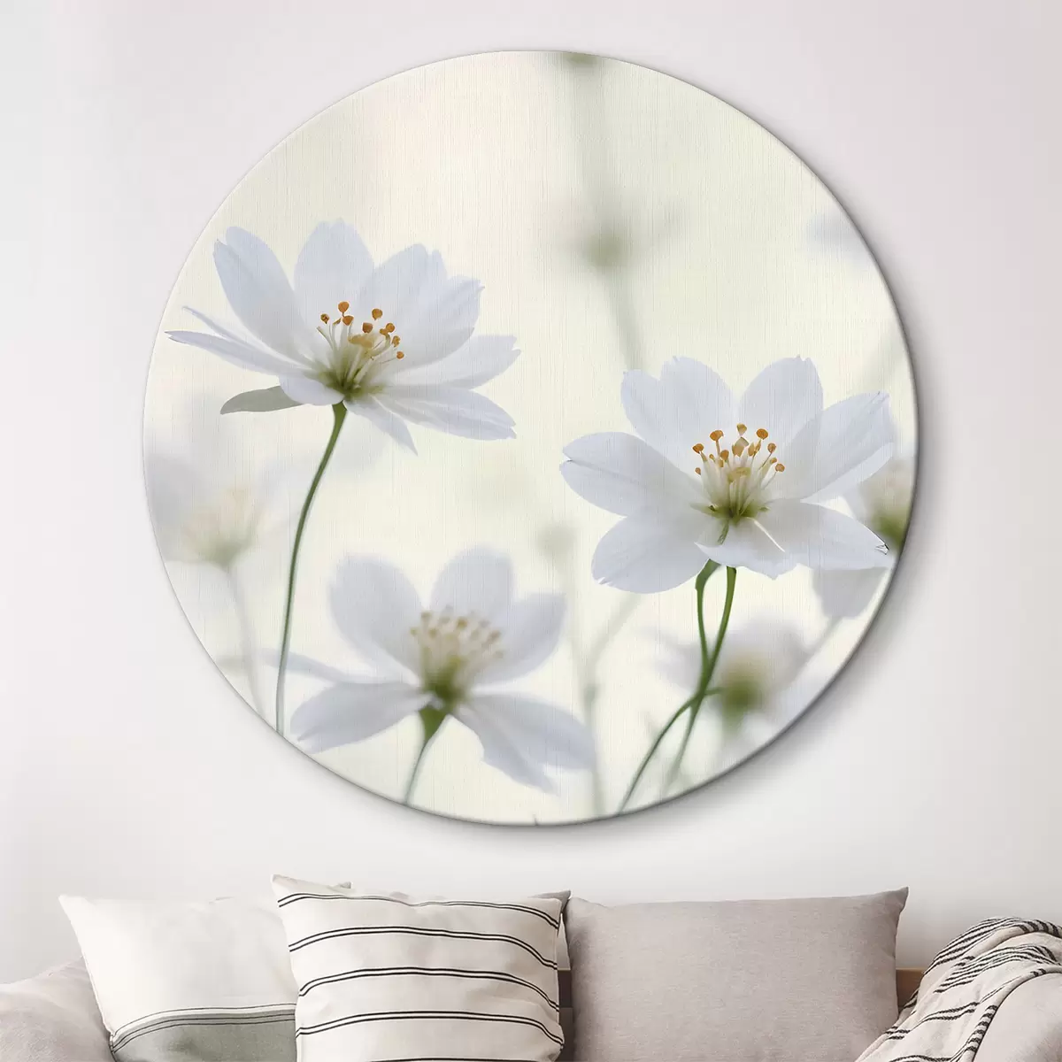 Apvalūs paveikslai Baltos ramunės gėlės lauke su minkštu, neryškiu fonu r38370