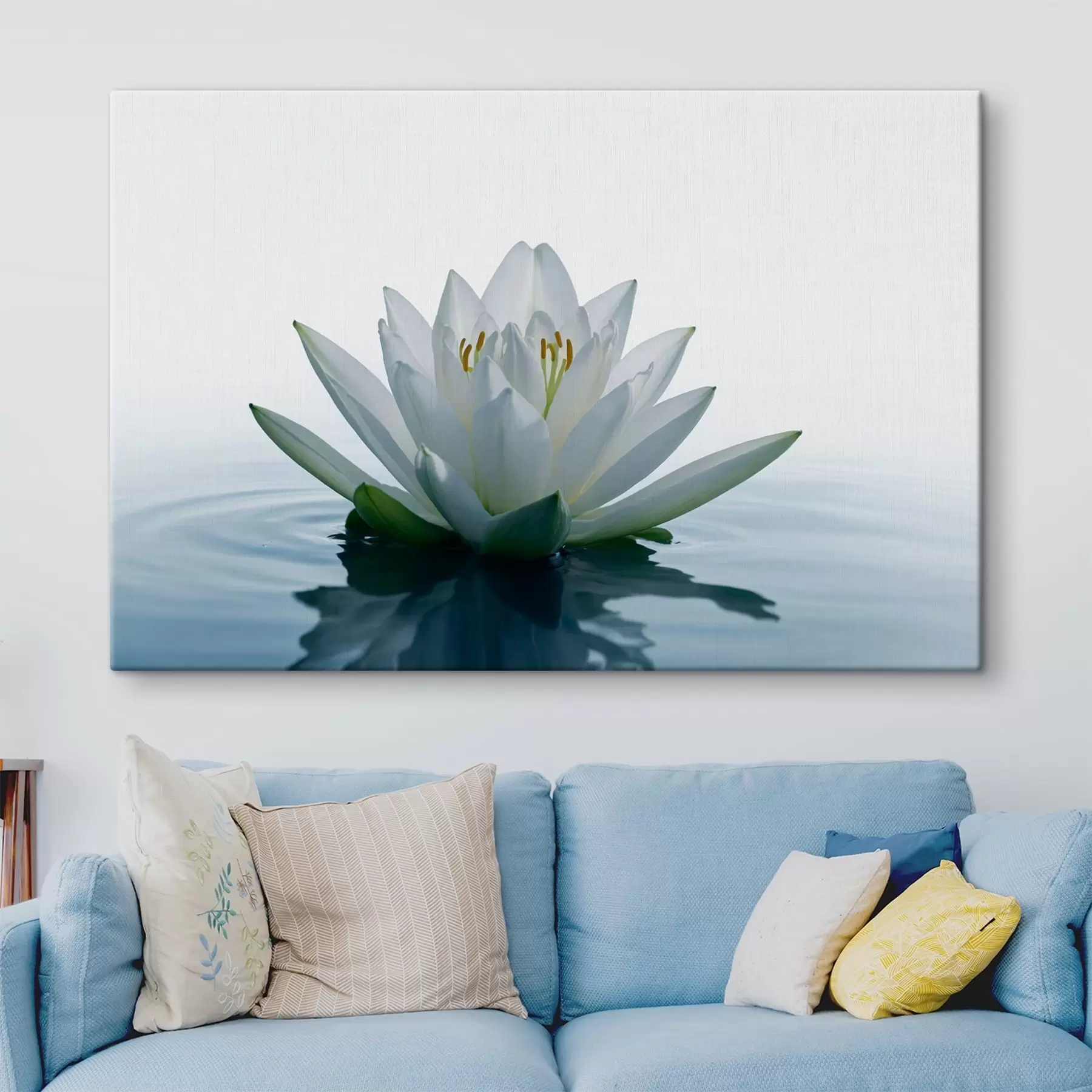 Fototapetai Lilija plūduriuoja ant vandens s42098