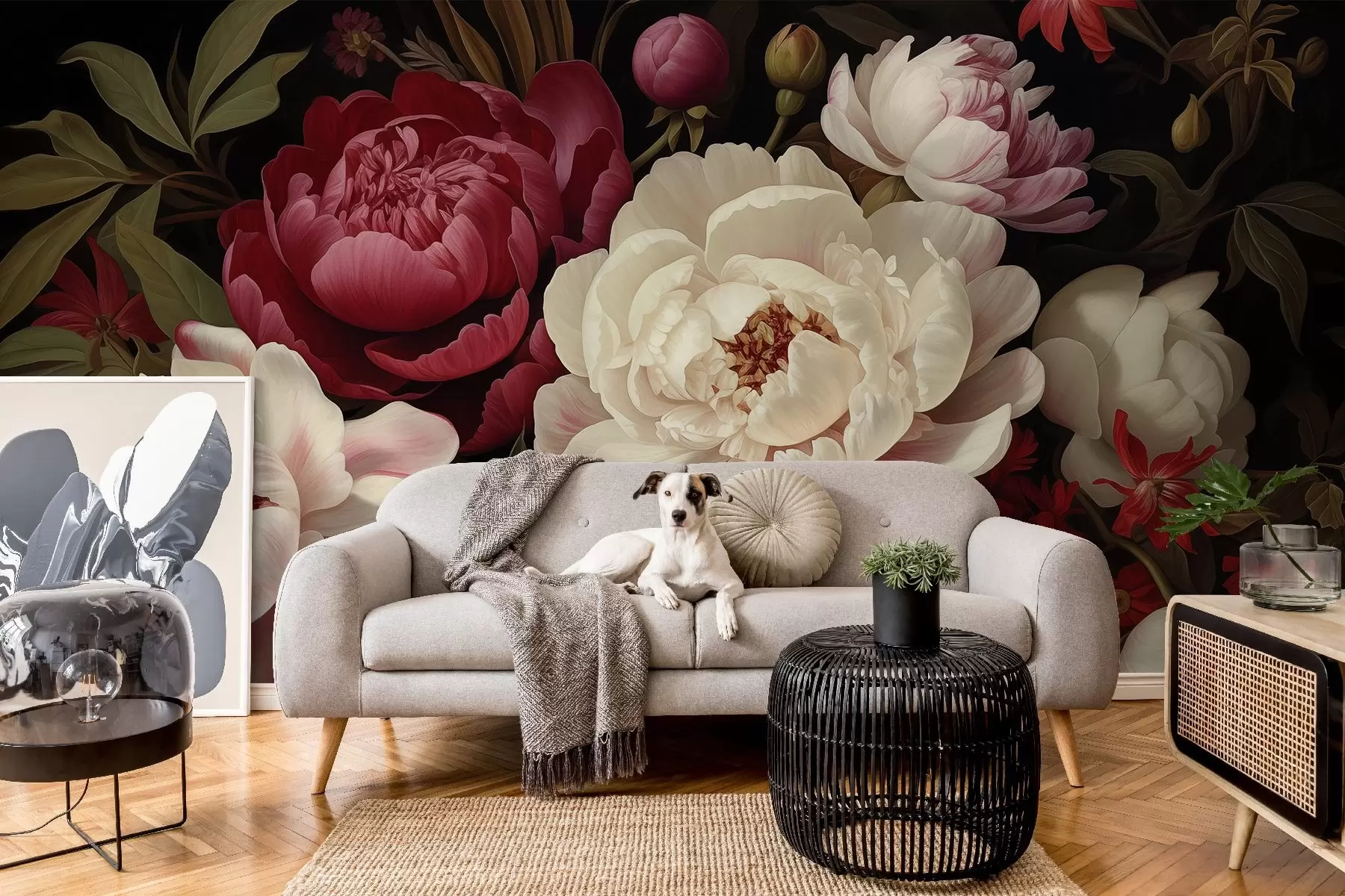 Fototapetai Prabangi bijūnų ir sodrių raudonų, rausvų ir kreminių atspalvių gėlių puokštė tamsiame fone w08689