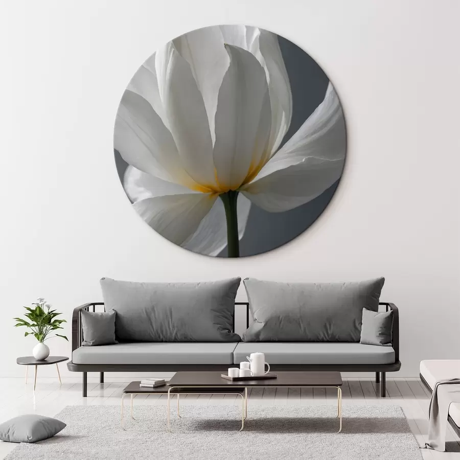 Fototapetai Balta gėlė pilkame fone r42779