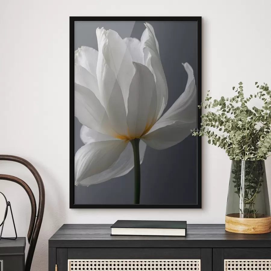 Paveikslėlis Baltos spalvos flowef ant gfay nugaros f42779