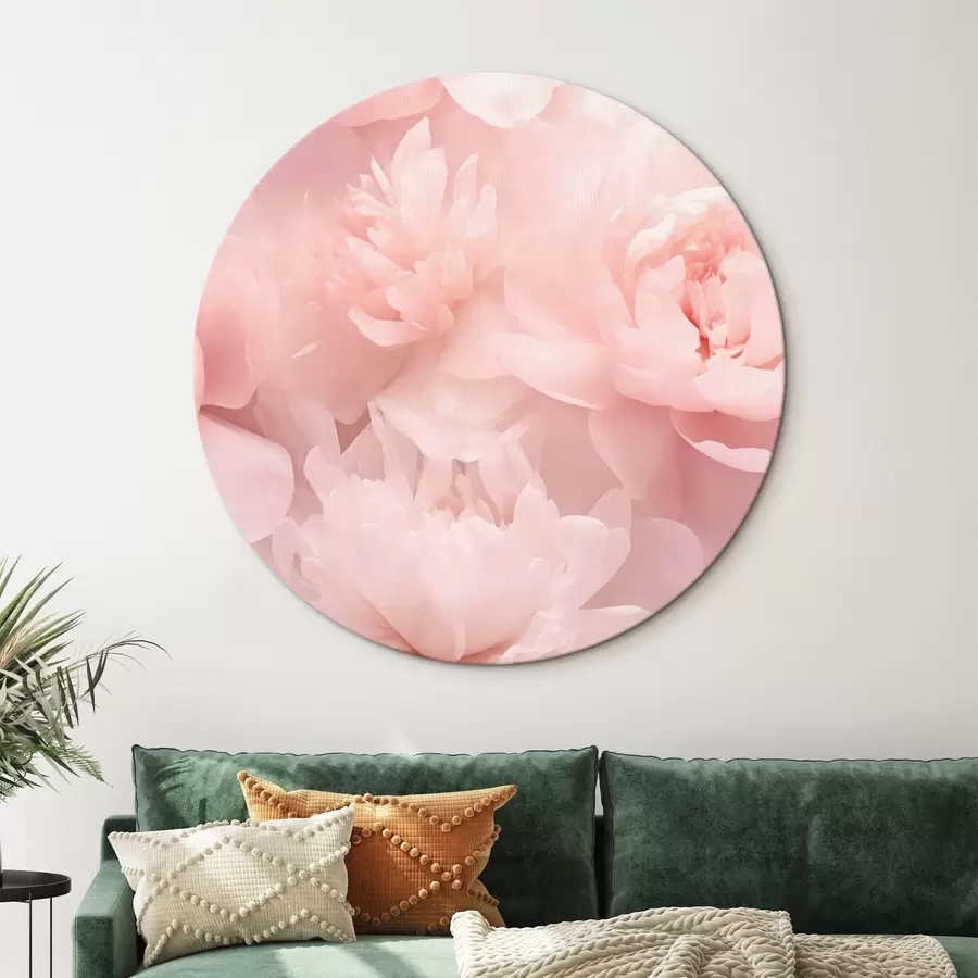 Paveikslėlis Bijūnai r43429