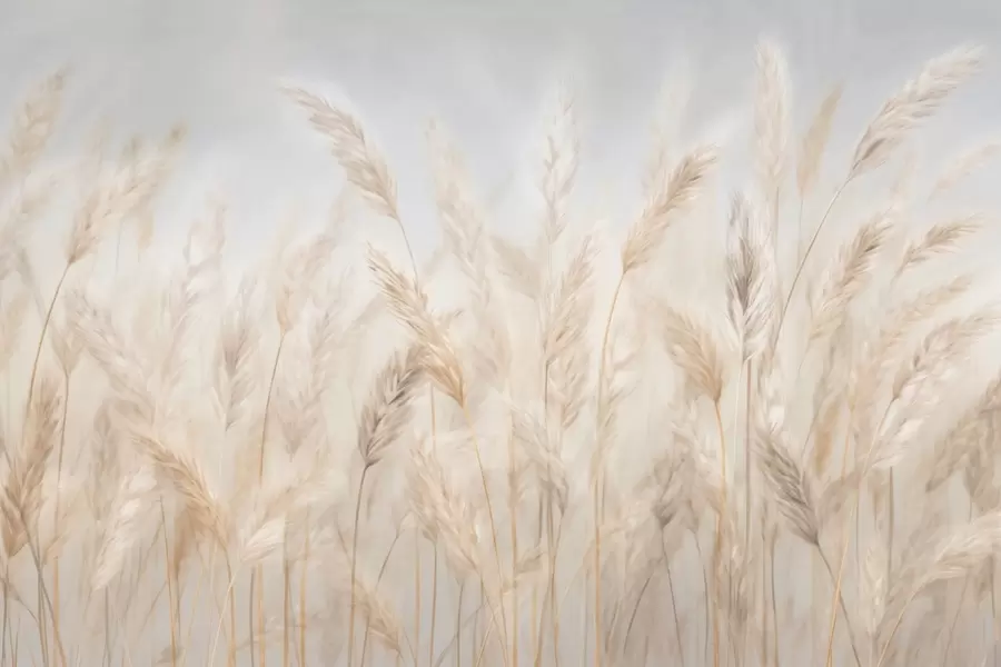 Fototapetai Spygliukai mėlyno dangaus fone w03530