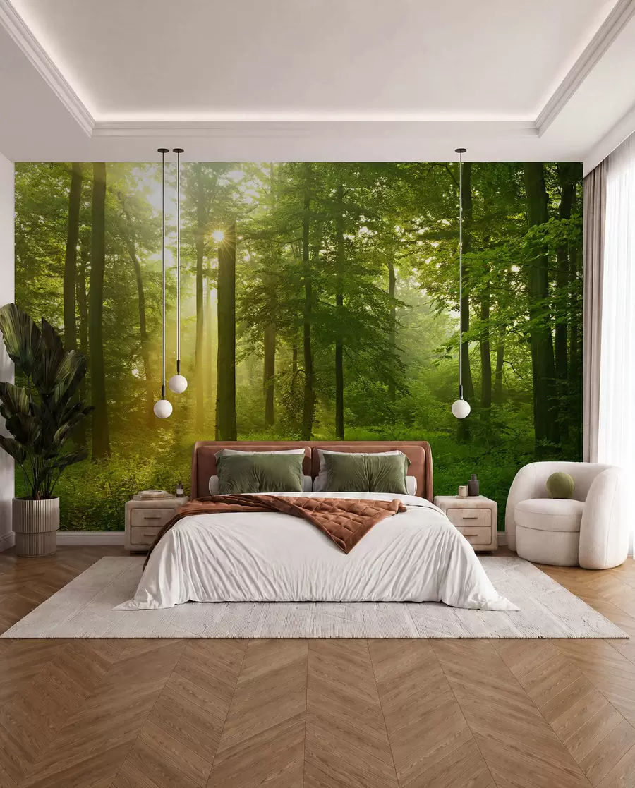 Fototapetai Tyla saulėtame miške u57295