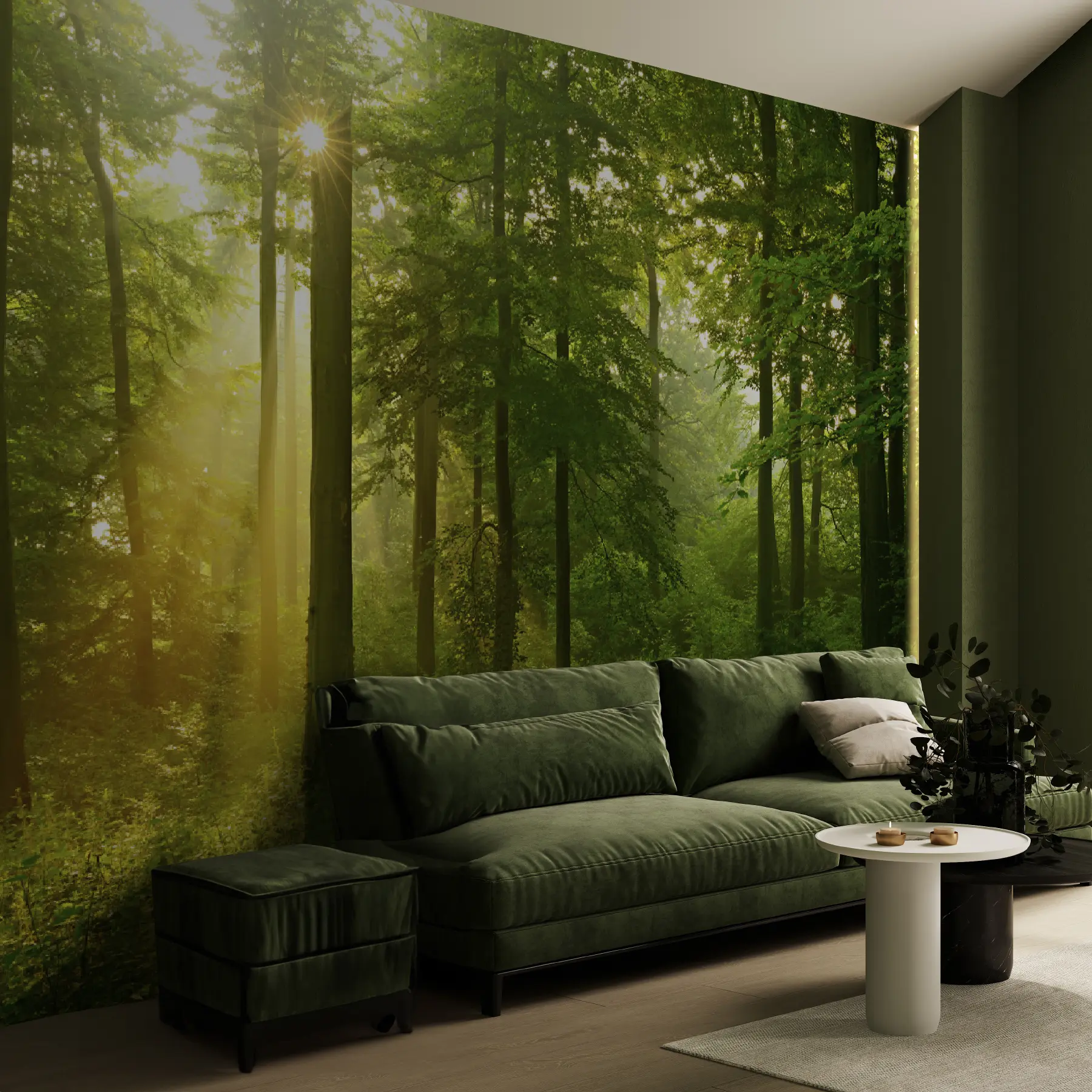 Fototapetai Tyla saulėtame miške u57295