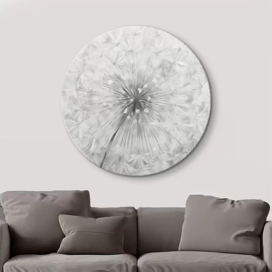 Paveikslėlis Kiaulpienė r43249