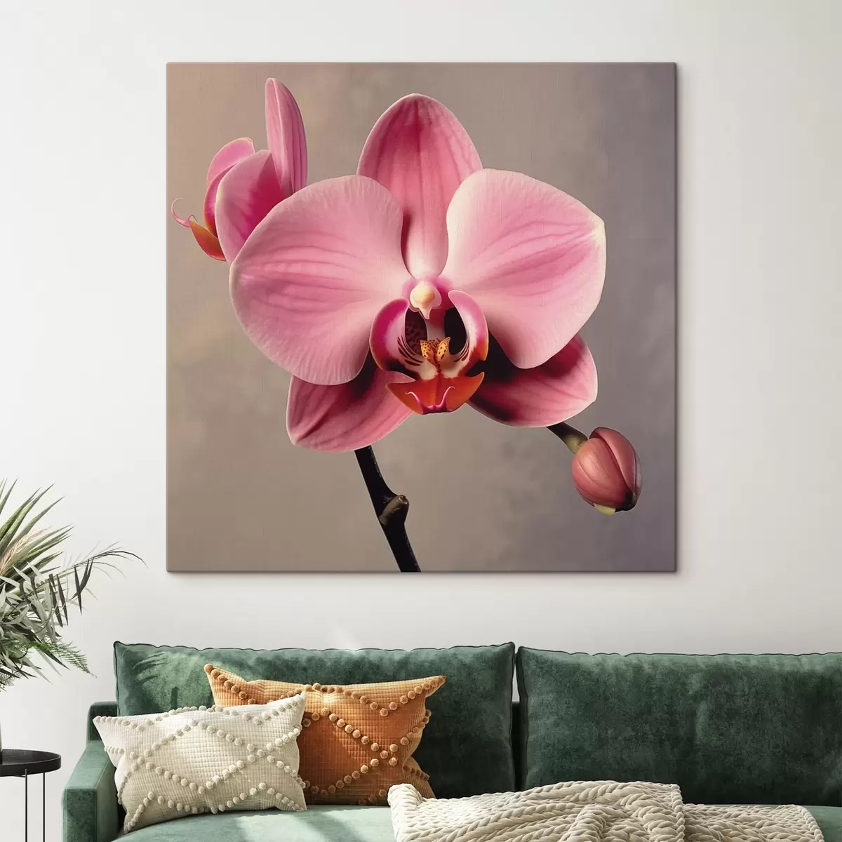 Paveikslėlis Orchidėja s43245