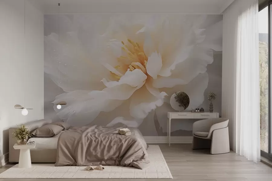 Fototapetai Žydintis bijūno žiedas su rasos lašais w03602