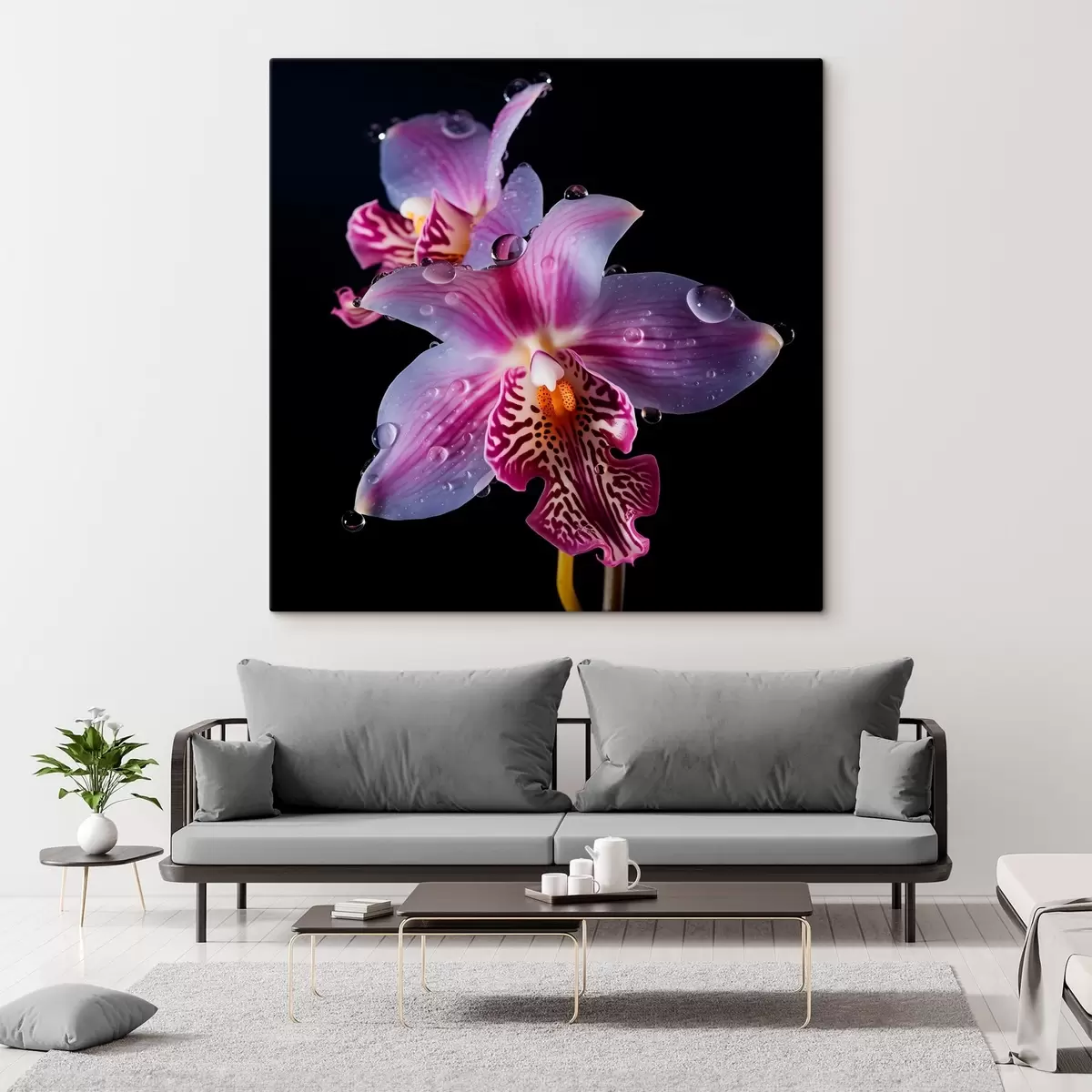 Paveikslėlis Vandens lašeliai ant orchidėjų žiedlapių s44356