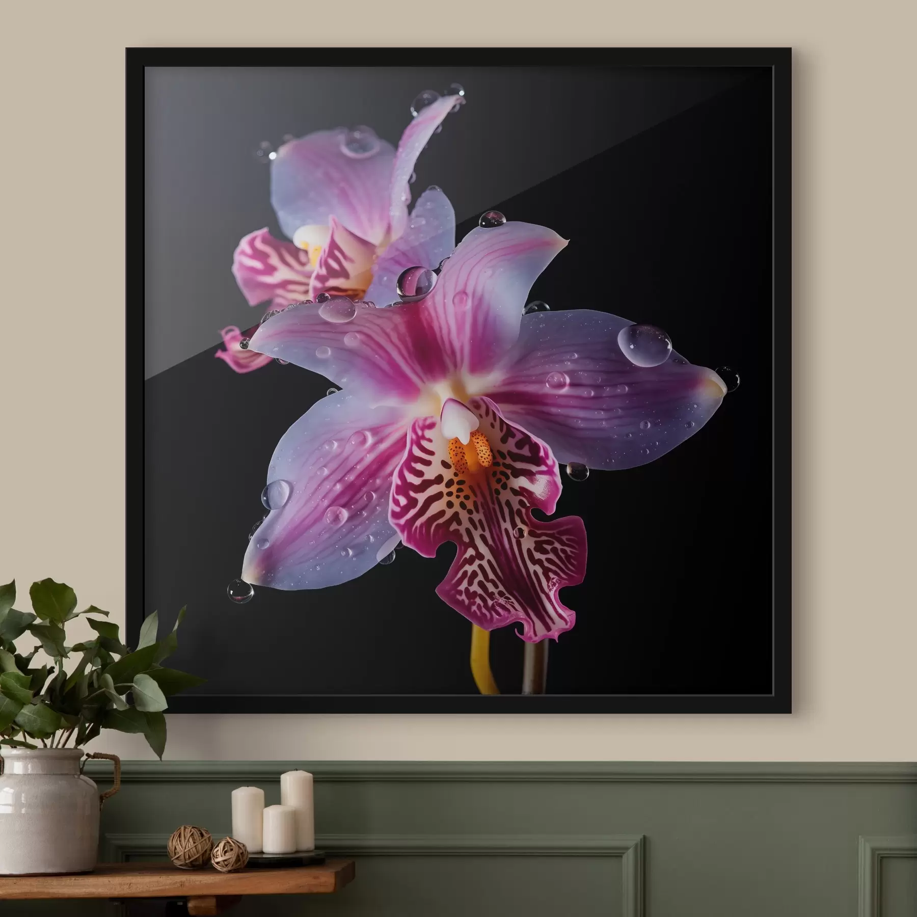 Paveikslėlis Vandens lašeliai ant orchidėjų žiedlapių f44356