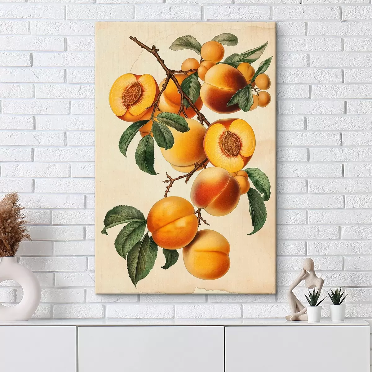 Paveikslėlis Abrikosų šakelė s44542