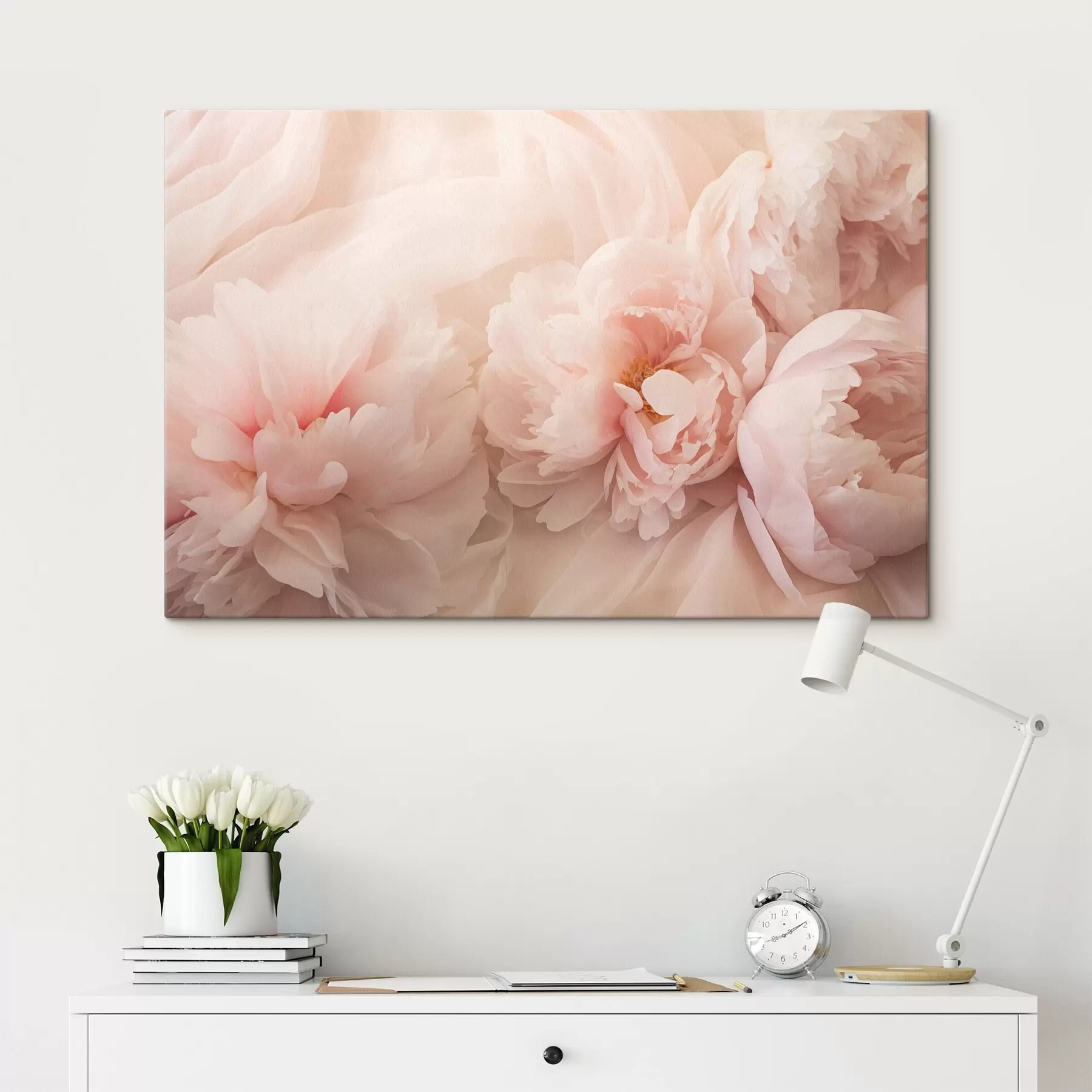 Fototapetai Rožinės spalvos bijūnai s45296