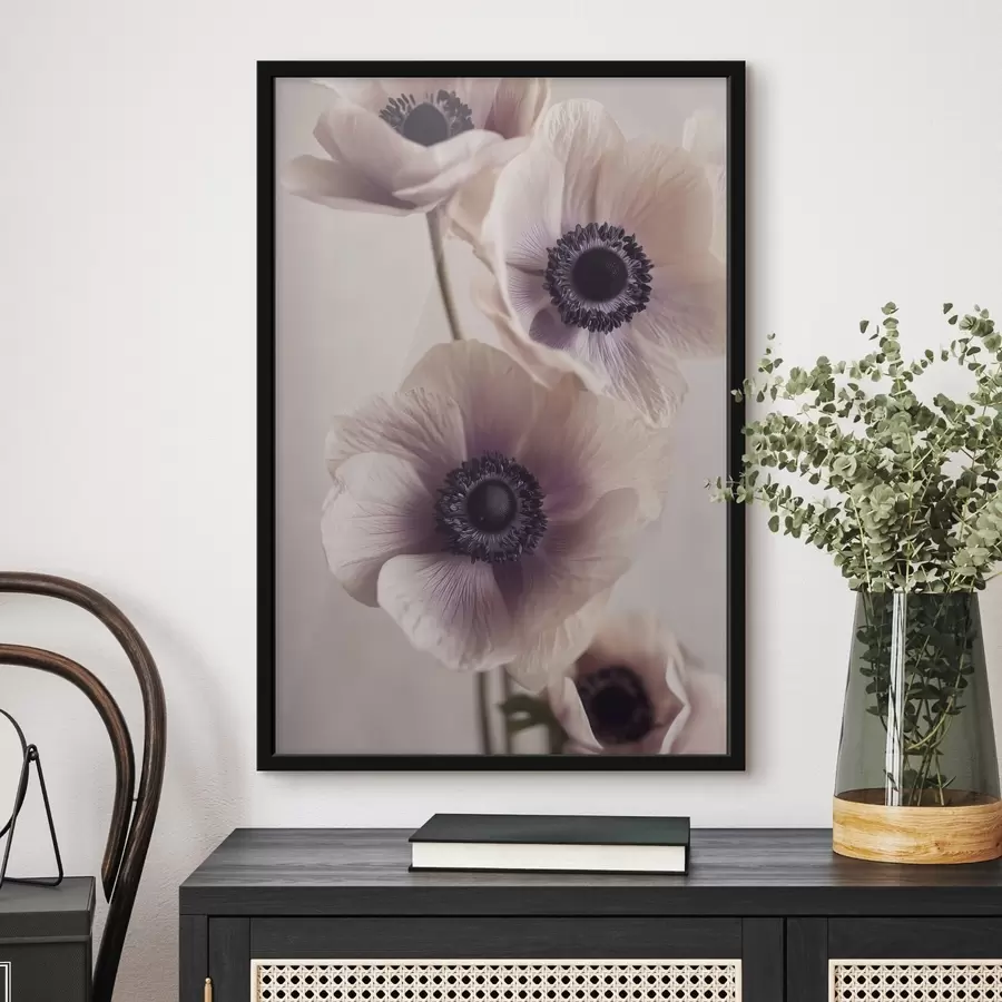 Fototapetai Subtilūs anemonai su tamsiomis vidurinėmis dalimis, pastelinės spalvos f45875
