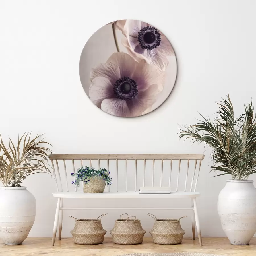 Paveikslėlis Subtilūs anemonai su tamsiomis vidurinėmis dalimis, pastelinės spalvos r45875