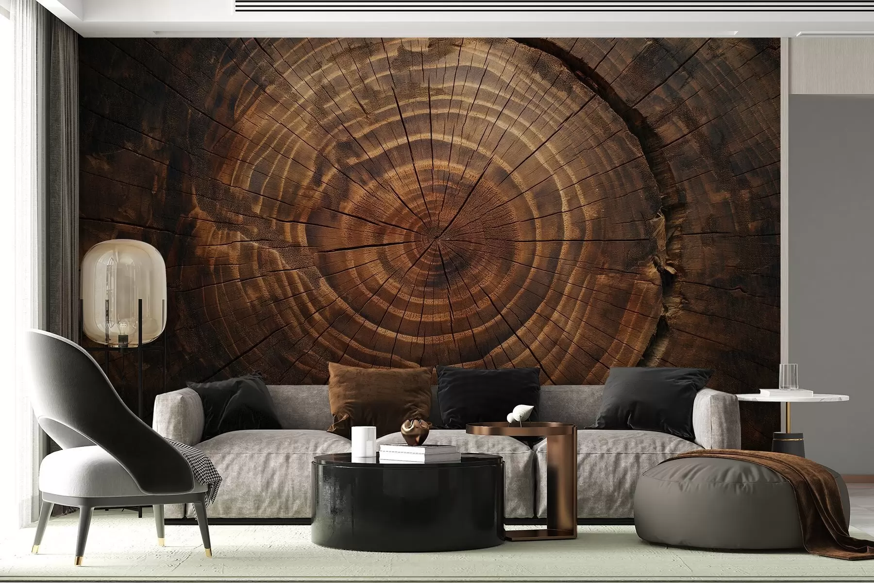 Fototapetai Medžio žiedai w04642