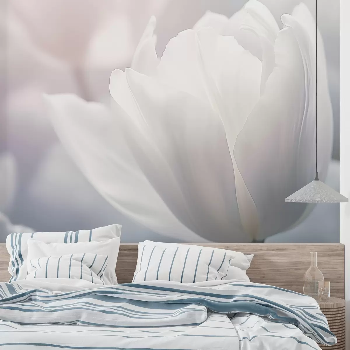 Fototapetai Tulpė w04659