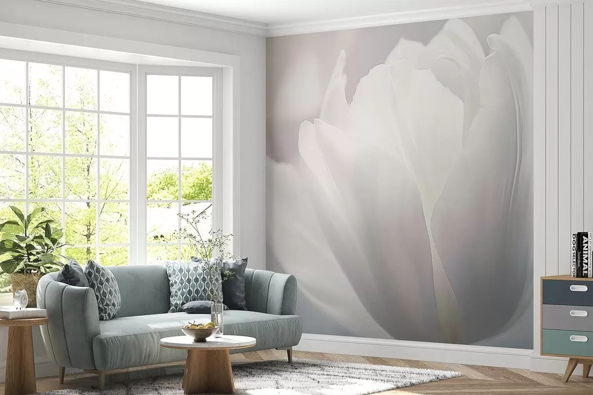 Fototapetai Tulpė w04659