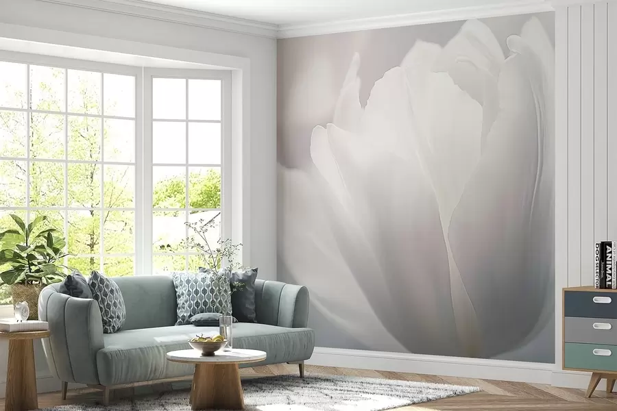 Fototapetai Tulpė w04659