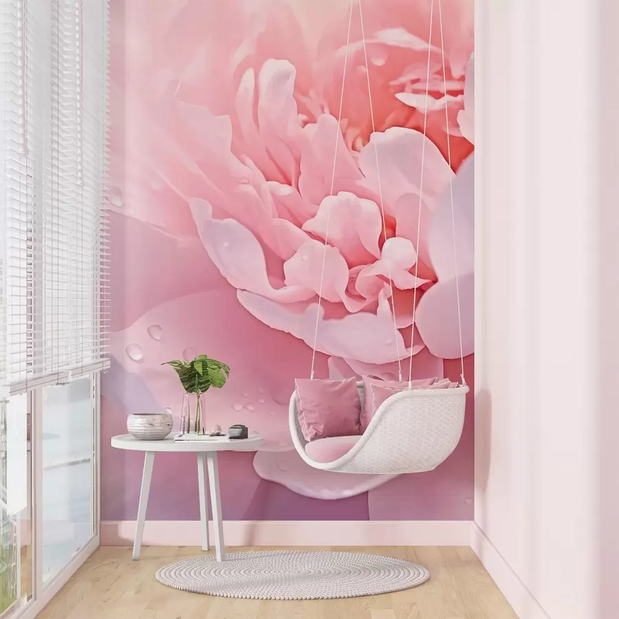 Fototapetai Didelės bijūnų žiedlapių w04715