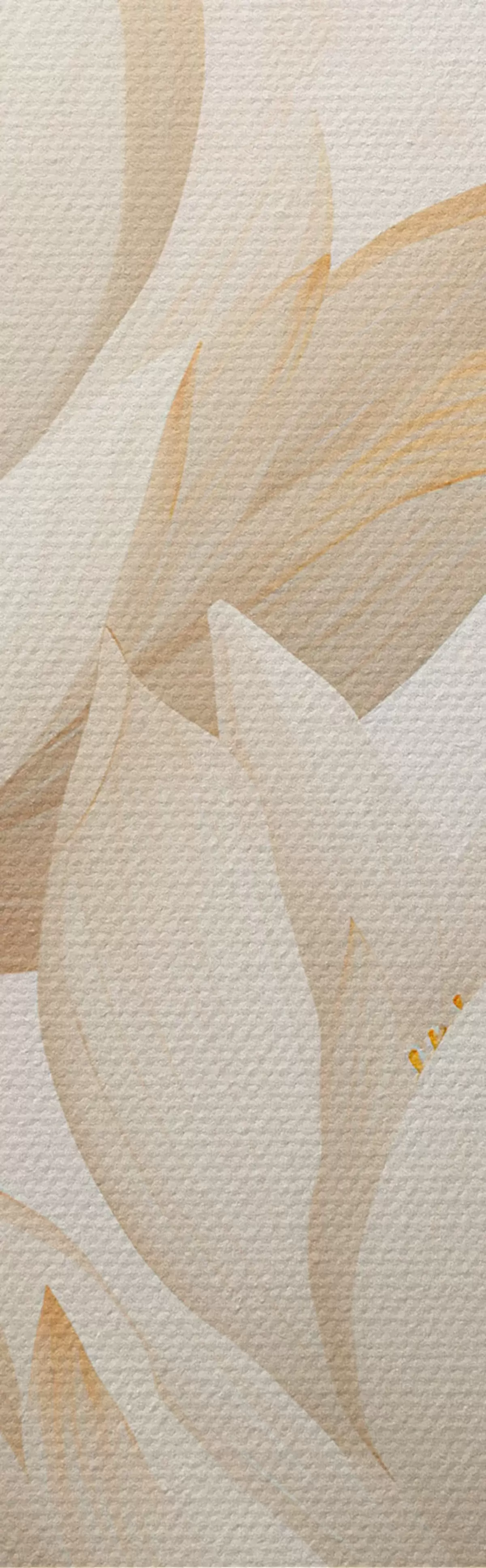 Paveikslėlis Gražios lotoso gėlės m00861