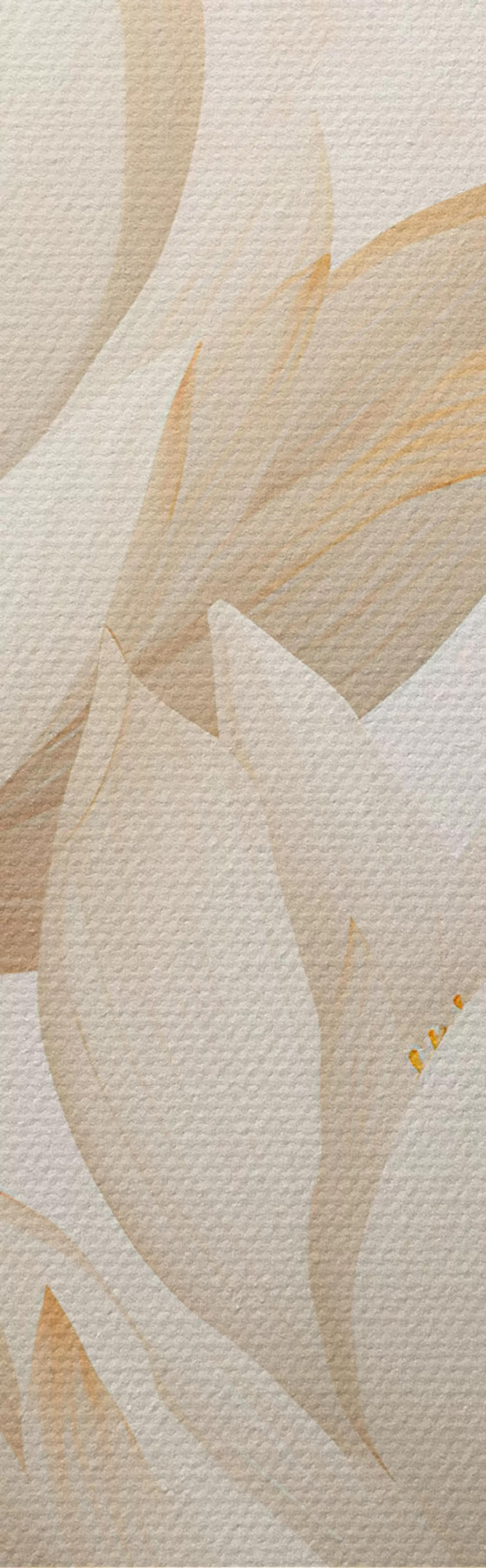 Paveikslėlis Gražios lotoso gėlės m00861