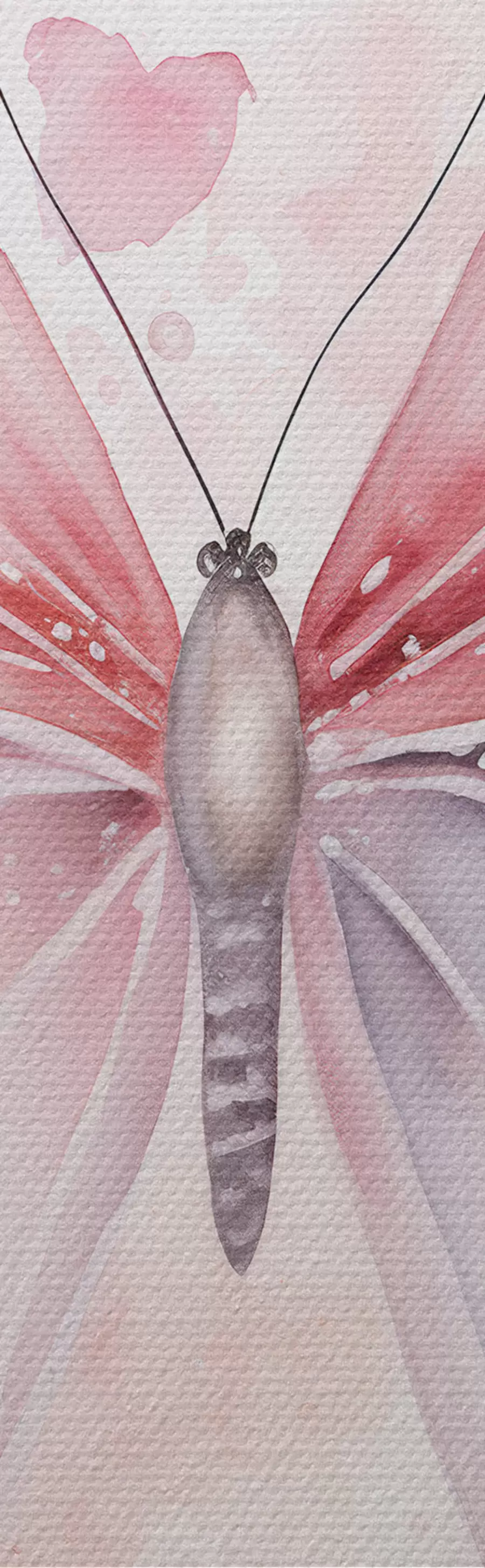 Paveikslėlis Įvairūs rožiniai drugeliai m00864