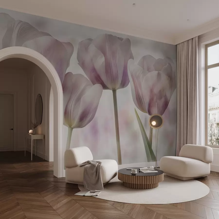 Fototapetai Tulipai švelniomis spalvomis w04700